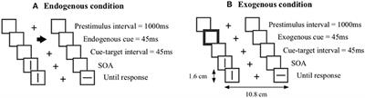 Flow States and Associated Changes in Spatial and Temporal Processing